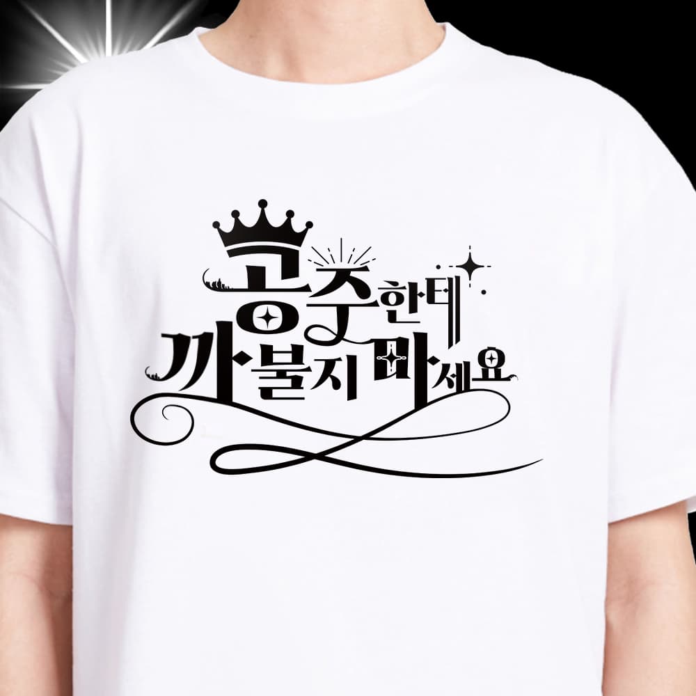 Y2k T-Shirt Korean Princess Quote Shirt for Women Stylish & Versatile Tee Korean Aesthetic Novelty Korean Casual Branded Tshirts