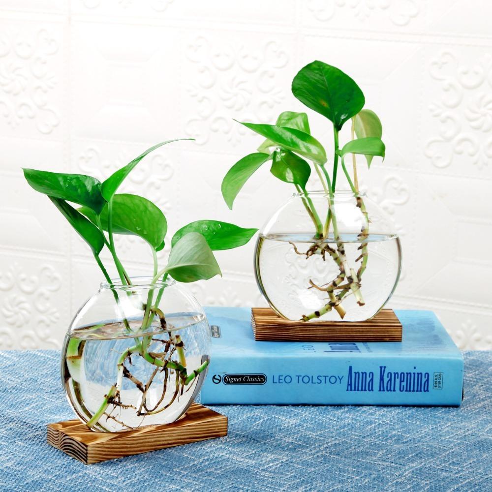 Transparent Glass Hydroponic Plants Container Elegant Plants Glass Vase Weddings