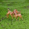 Moss DIY Bonsai Fairy Garden Terrarium Miniature Sika Deer Ornament Animal Figurine