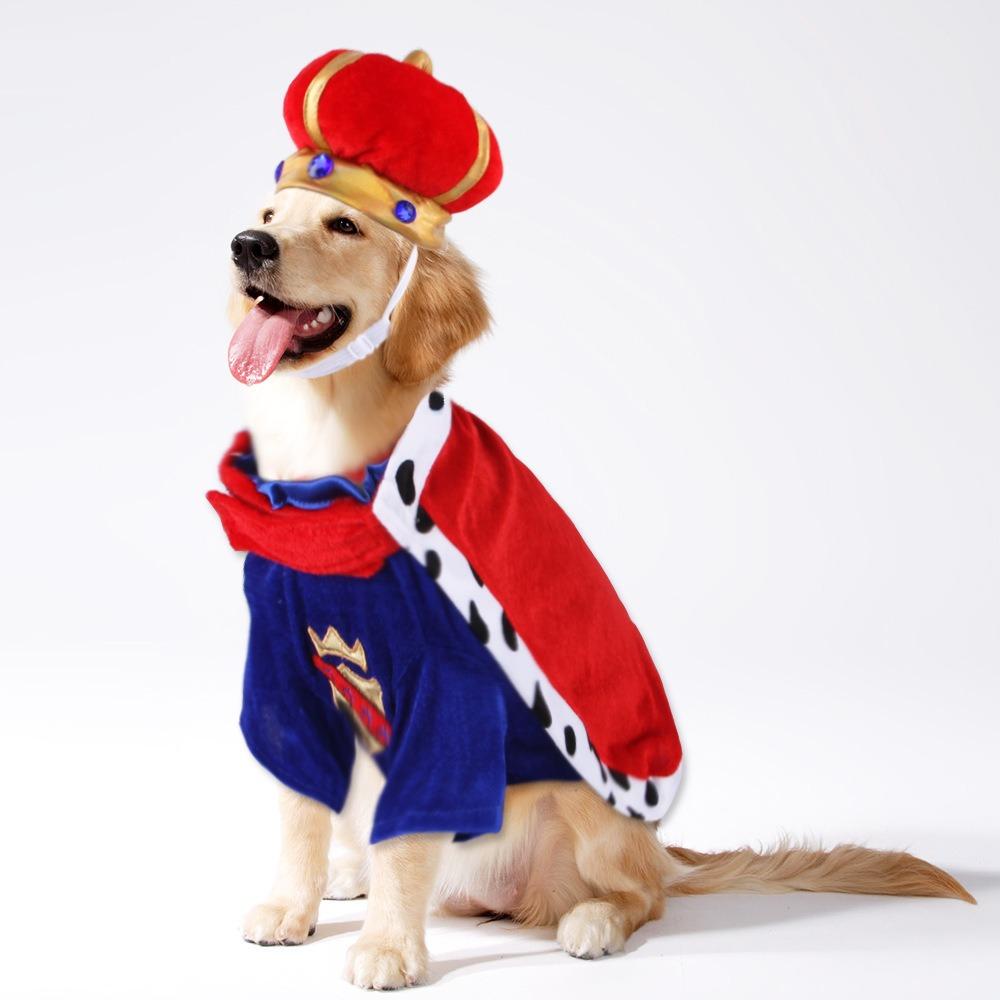 Pet Transformation Cat Funny Christmas Transformation Dog Clothes, Pet Funny Halloween Costumes