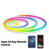 5M RGB LED Neon Led Strip Lights with APP and Remote Waterproof  Neon Rope Light for Bedroom Room Outdoors Decro