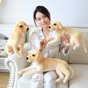 Imitation Golden Doll Cute Imitation Dog Plush Toy Labrador Sleeping Pillow Doll Gift