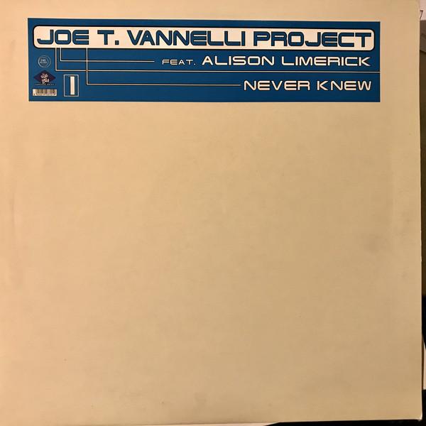 12inch Record JOE T. VANNELLI PROJECT, ALISON LIM - Never Knew DB070 Dream Beat 1997 Italy Dance & Electronica Used