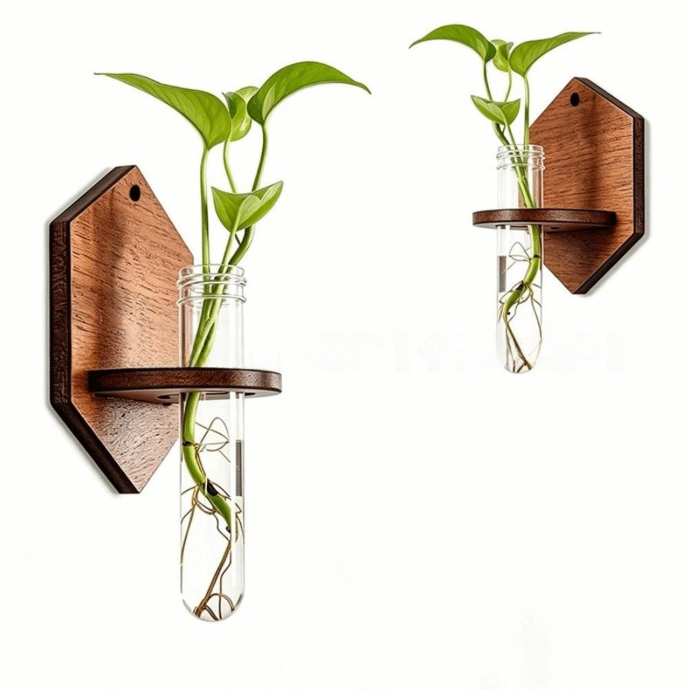 Home Ornaments Hydroponic Planter Shelf Vase Flower Pot Wall Shelf Planter Holder Kitchen