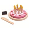 PlanToys Япония Набор "Торт на День Рождения" PlanToys 3488