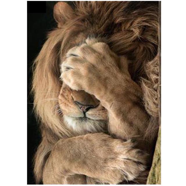 5D Diamond Painting Figure Full Drill Square Round Diamond Art Embroidery Animal Cross Stitch Home Decoration Girl Gift