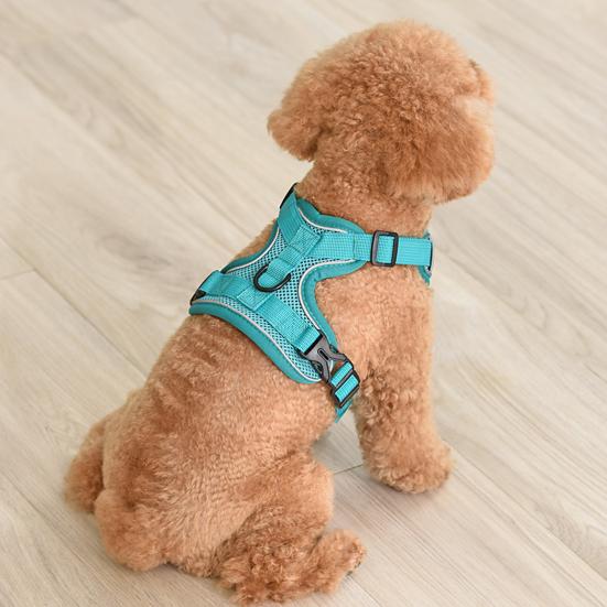 Yousheng Cat Harness And Leash Reflective Strips Jacket Breathable Adjustable Vest Harness Escape Proof Easy Control Leash for Cats