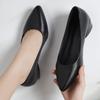 Fashion Hot Selling 2025 Autumn New Single Shoes Women Thick Heel Pointed Toe Shallow Mouth Professional All-match Women's Leather Shoes