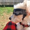 Cool Soft Frame UV Resistant Dog Goggles With Adjustable UV Protection Sunglasses For Dogs And Cats Dog Accessories New 2026