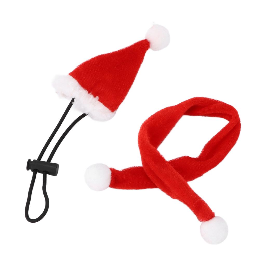 Lizard Hat Decor Crawling Pet Decorative Costume Bearded Dragon ?Supplies Adjustable Hat and Scarf