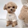 Autumn and Winter Dog Cat Clothes Clouds Soft Fluff Base Cotton Coat Warm Than Bear Puppy Dog Yorkshire Pet