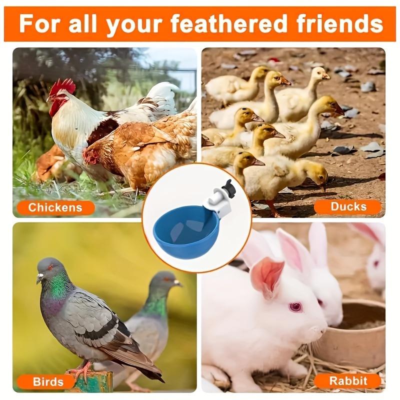 6pcs, Large Blue Automatic Chicken Water Cup, Suitable for Ducks, Geese, Turkeys and Rabbits - Drinking Fountains Kit - Small Animal Drinkers
