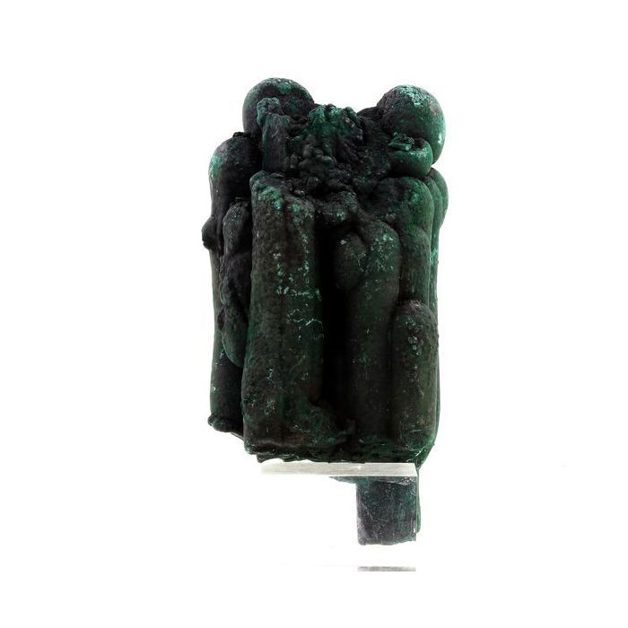 Pierres et Minéraux. Malachite Stalactite. 7425.5 ct. Katanga, Congo.
