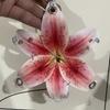 Exquisite Flower Keychain Phalaenopsis Orchid Car Key Ring Creative Bag Pendant