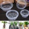 2 шт. Садовые принадлежности Поддон для цветочного горшка Пластиковая сетка Клонирование Растений Рост Растений Корзина для Культивирования Растений