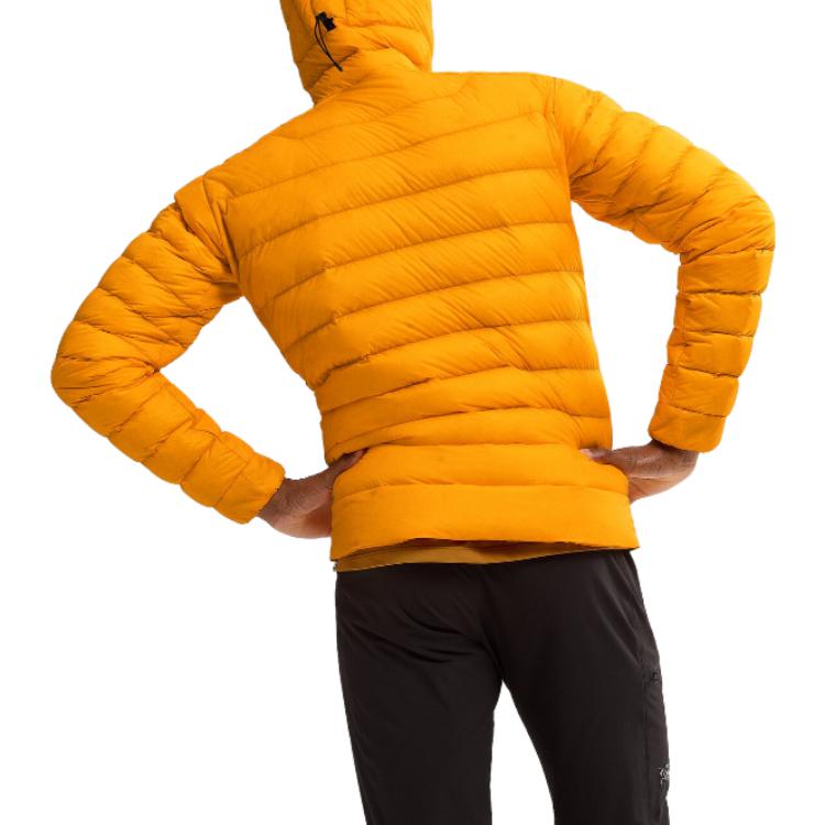 Куртка-худи Arc'teryx Cerium X000007313