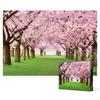 Cherry Blossom Road [Mini] - 2000 Piece Jigsaw Puzzle, Popular Korean Puzzle