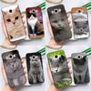 British Shorthair Cat Case For Samsung Galaxy J7 J5 J3 J1 A3 A5 2017 2016 J4 J6 Plus A6 A7 A8 A9 2018 Back Cover