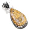 Fossil Coral Gemstone Handmade 925 Sterling Silver Jewelry Pendant 2.32" Z9a91