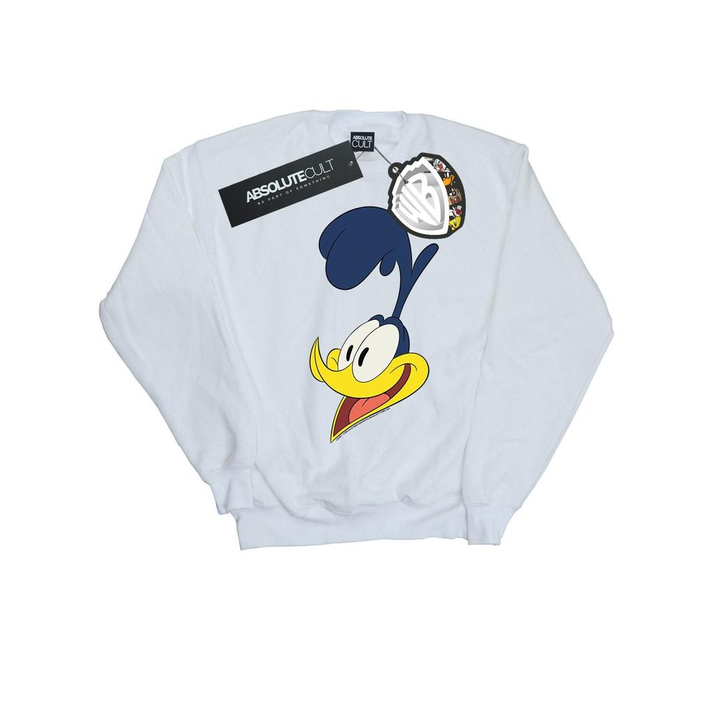Looney Tunes Mens Road Runner Face Sweatshirt