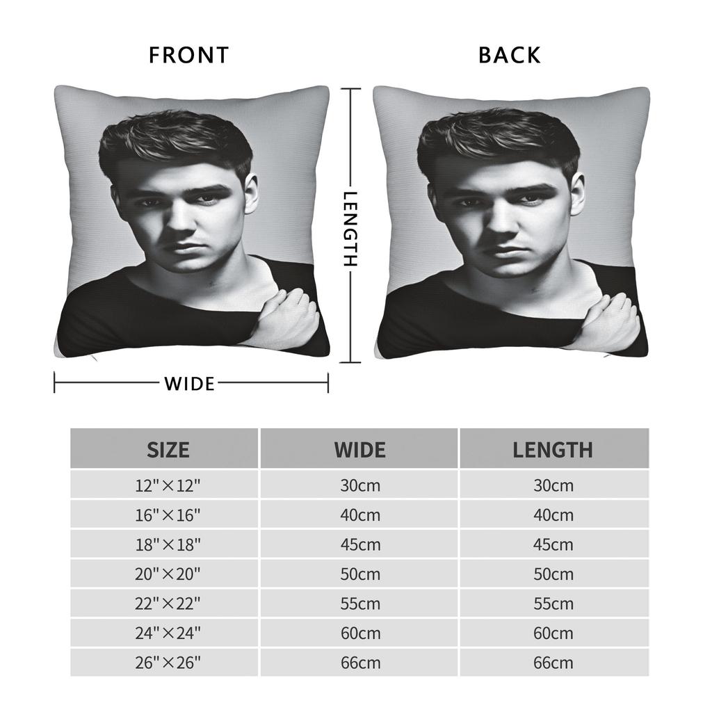 L-Liam Payne Singer Pillow Case Soft Pillow Cover Morden Pillowcases For Living Room Chair