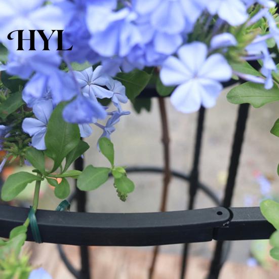 Easy Assembly Garden Trellis Metal for Climbing Plants Umbrella Top Cage Vertical Outdoor Plant Frame Support Tower Potted Flowers Vines Sturdy