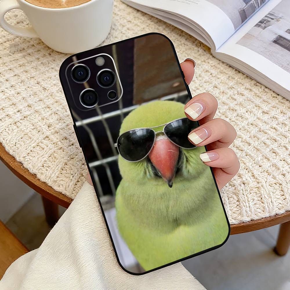 Funny p-pigeon mischief Phone Case For iPhone 17, 16,15,14,13,12,11 Plus,Pro Max, Others Soft Black Cover