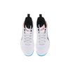 Li Ning Speed SE Fabric Synthetic Leather Gradient Shock Absorption Non-Slip Wear-Resistant Lightweight Low-Top Badminton Shoes AYZS018-3