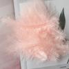 50PCS Natural Plumes 10-15cm Feather Plume Fluffy Wedding Dress DIY Jewelry Decor Accessories Feathers