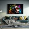 Monkey with Headphones Graffiti Style Canvas Painting Colorful Posters and Prints Animal Pictures For Living Room Home Decor
