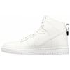 Dunk Lux Sp 'DSM' 718766-101