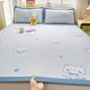 Summer Cooling Mat Set 2 Piece 3 Piece Class A Bed Style Ice Silk Air Conditioner Soft Mat Washable Thin Cushion