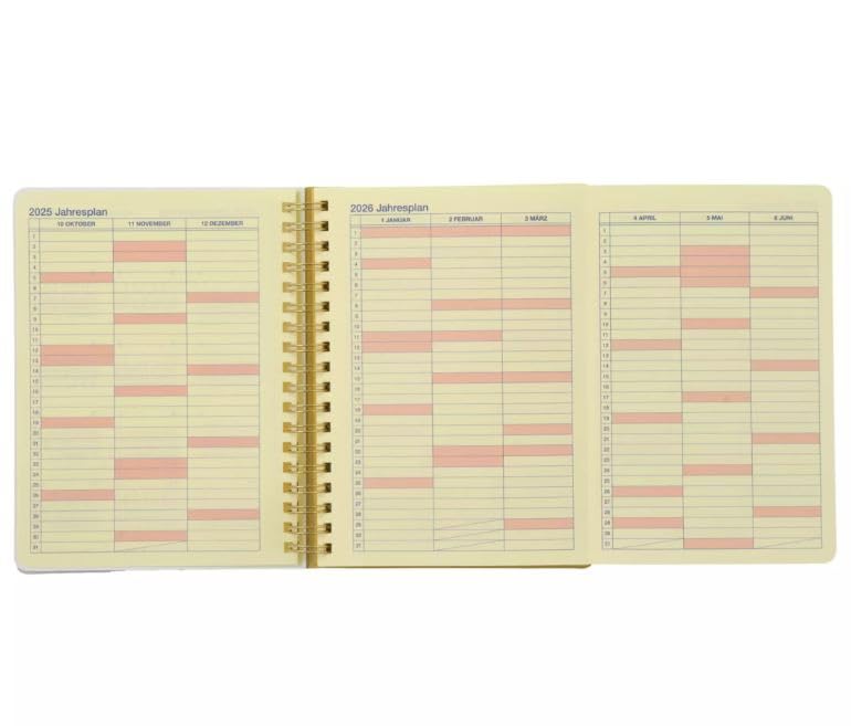 Delfonics Winnie the Pooh, Piglet, and Eeyore Rollbahn Diary L Planner 2026 (Reiwa 8) Monday Start Disney Store