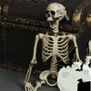 165 см / 65 дюймов Полноразмерный скелет человека для декорации - Скелет на Хэллоуин в полный рост для дома, вечеринки, , комнаты