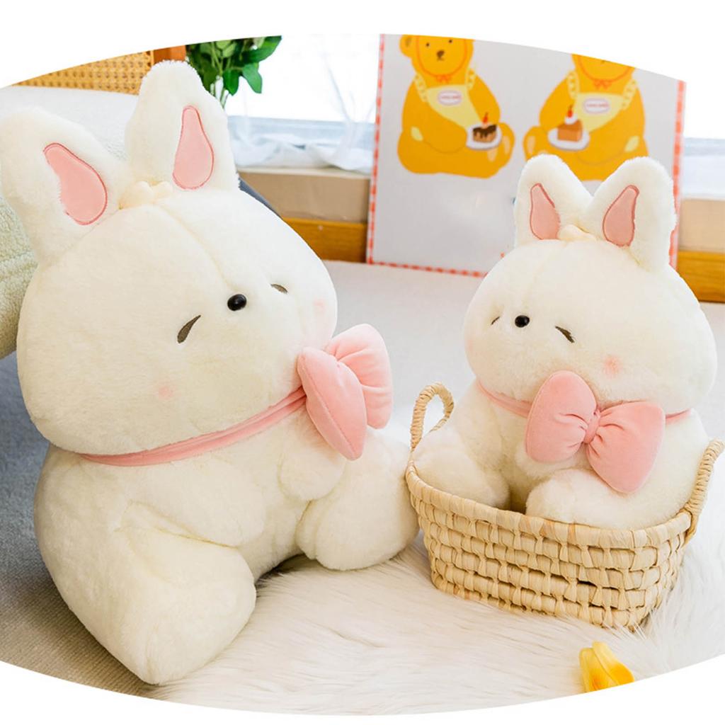 Plush Toys, Cute And Perfect Birthday Gifts For Friends And Classmates, Graduation Gifts