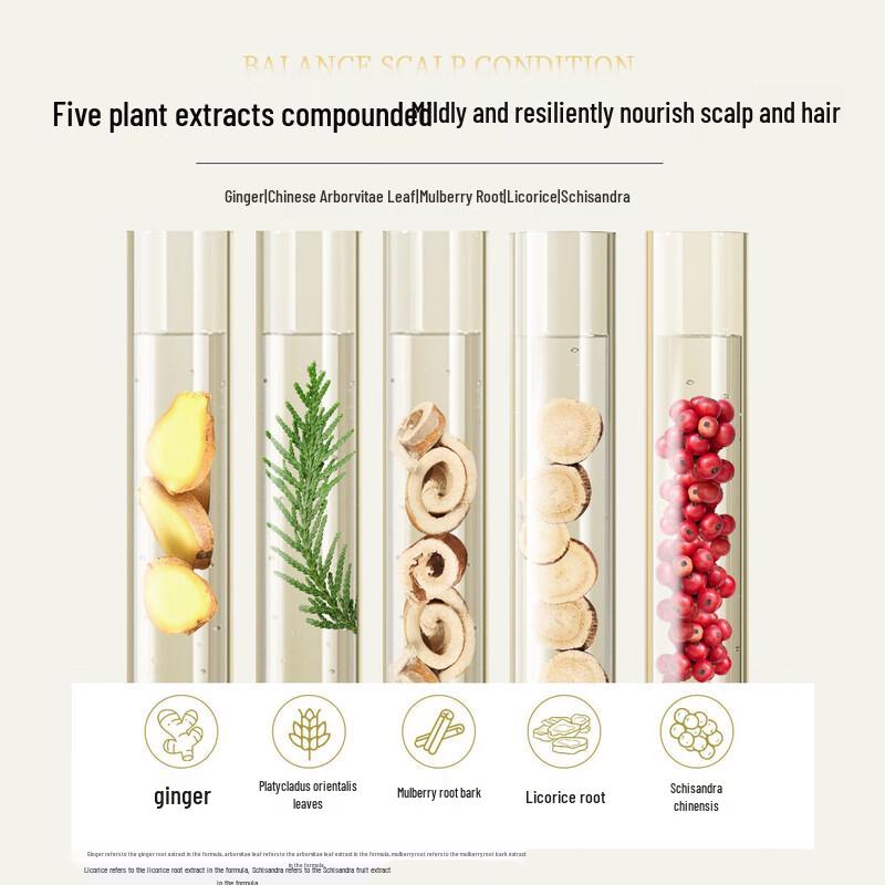 Ziyuan Ginger Anti-Breakage Strengthening Shampoo