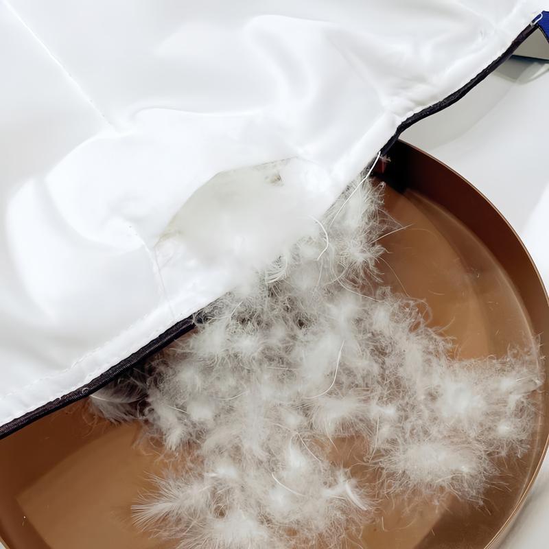 Zhenbu Thickened Goose Down Winter Duvet