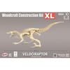 Wooden Model Great Velociraptor