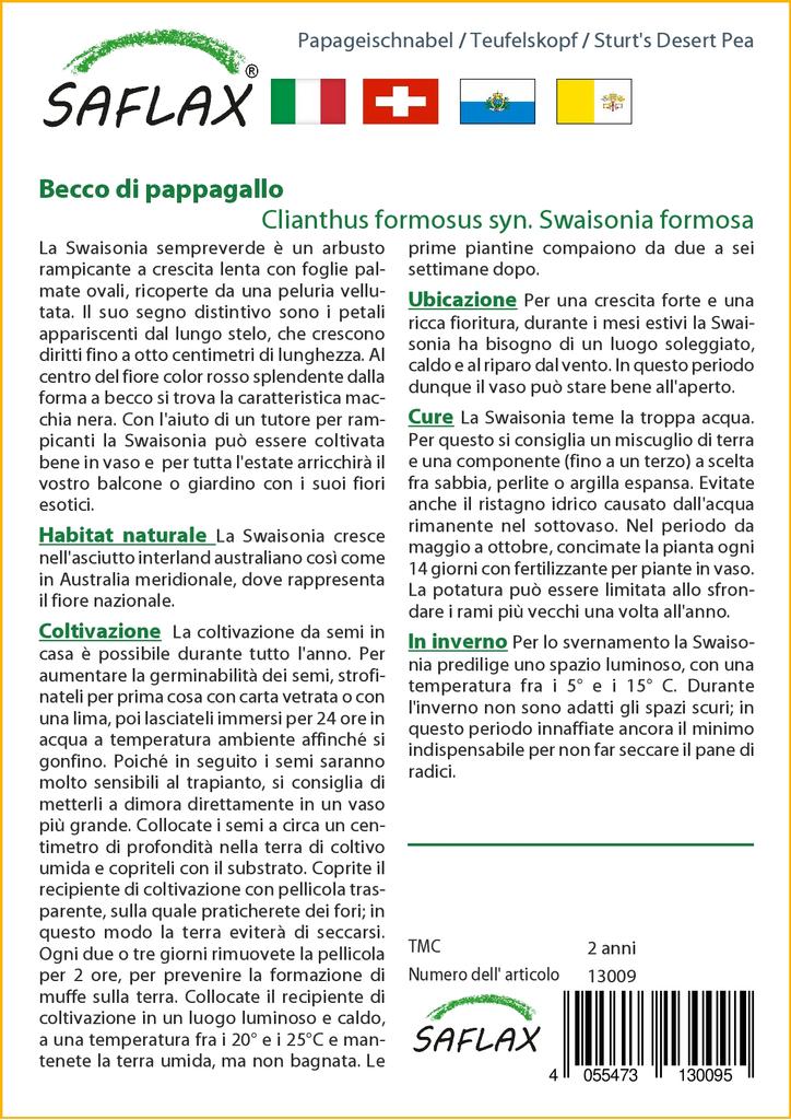 SAFLAX Горох пустынный Sturt's - 20 семян - Clianthus formosus