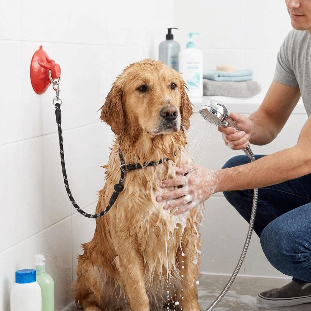 Suction Cup Dog Bathing Tether Adjustable Dog Bathing Fixer Pet Shower Fixed Collar for Cats Dogs