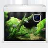 Fish Tank Digital Thermometer Mini Aquarium Water Thermometer Color Digital High Accuracy Thermometer