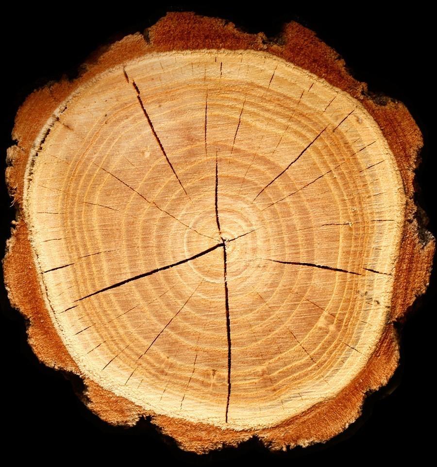 Yodeyma Caribbean Eau de Parfum для мужчин 15 мл