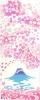 Miyamoto Kenema Tenugui Hand 35 X Fujimi Sakura 50032 Miyamoto-Towel Japanese-made Chū-dyed Towel, 90cm, Design,