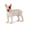 CollectA Bull Terrier Figure (Medium) (Male)