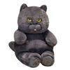 Плюшевая игрушка Miaomyao, Черный кот, Пушистая и успокаивающая игрушка, Подарок на день рождения для детей и взрослых, 28 см