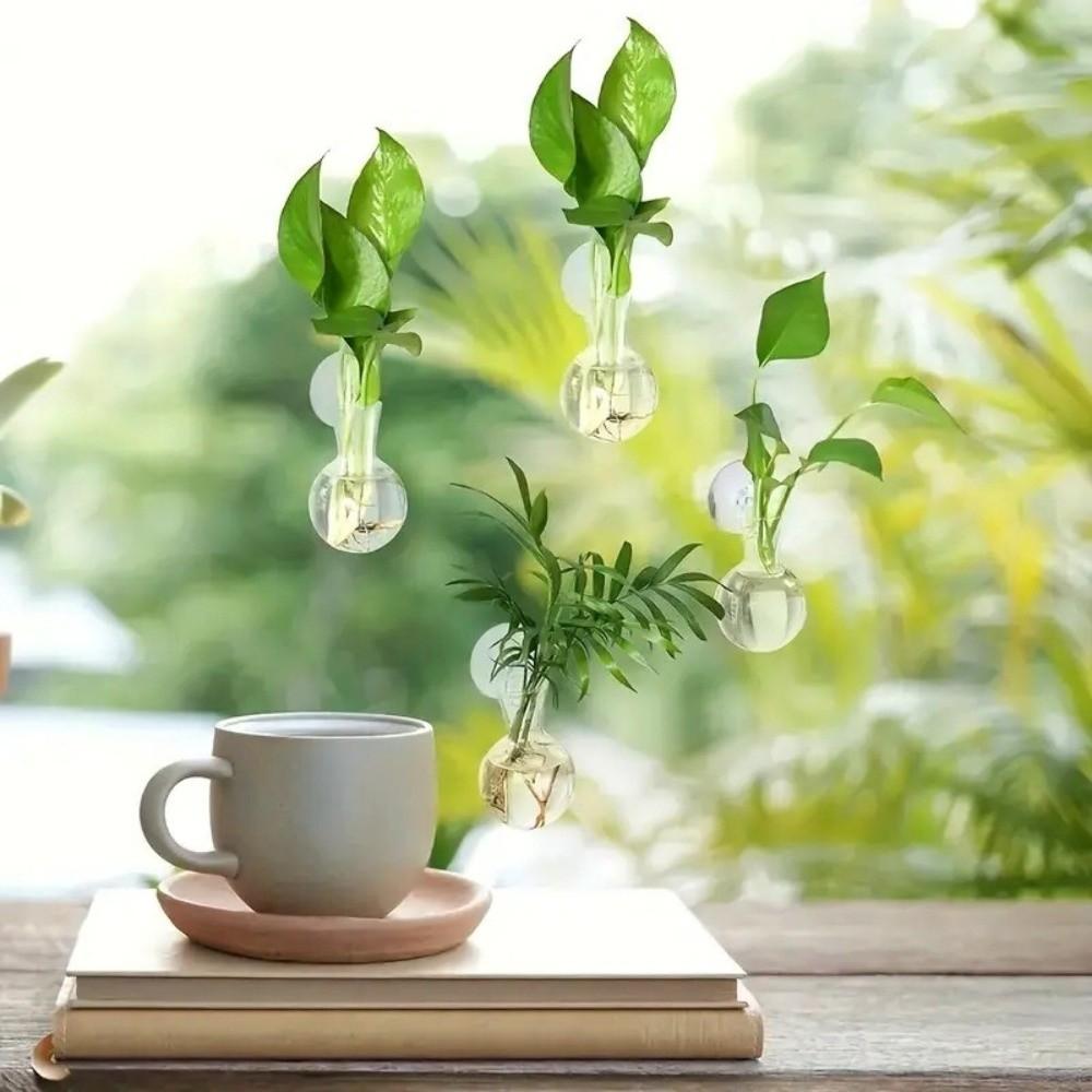 4pcs/set Self-Watering Plant Hydroponic Vase with Suction Cups Mini Flower Pot  Window