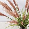 70 см длиной 5-головые имитация тростника луковая трава кортадерия искусственный цветок Entran имитация украшения собачий хвост трава для домашнего интерьера украшения