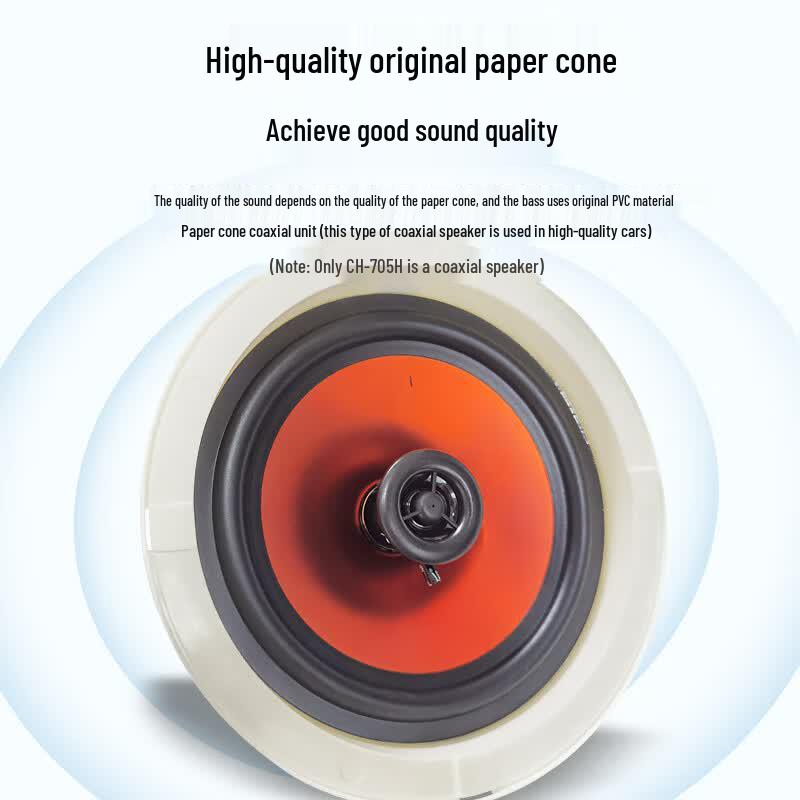 Kayuola Conference Audio Video System with 6.5-inch Ceiling Speakers (CN version)