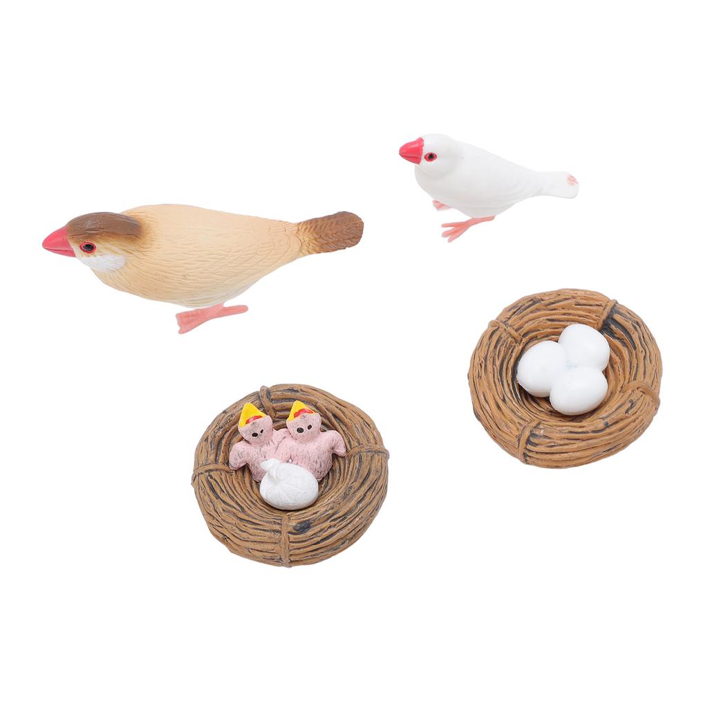 4 шт. Фигурки птиц из ПВХ для детей, реалистичные развивающие игрушки для цикла роста животных