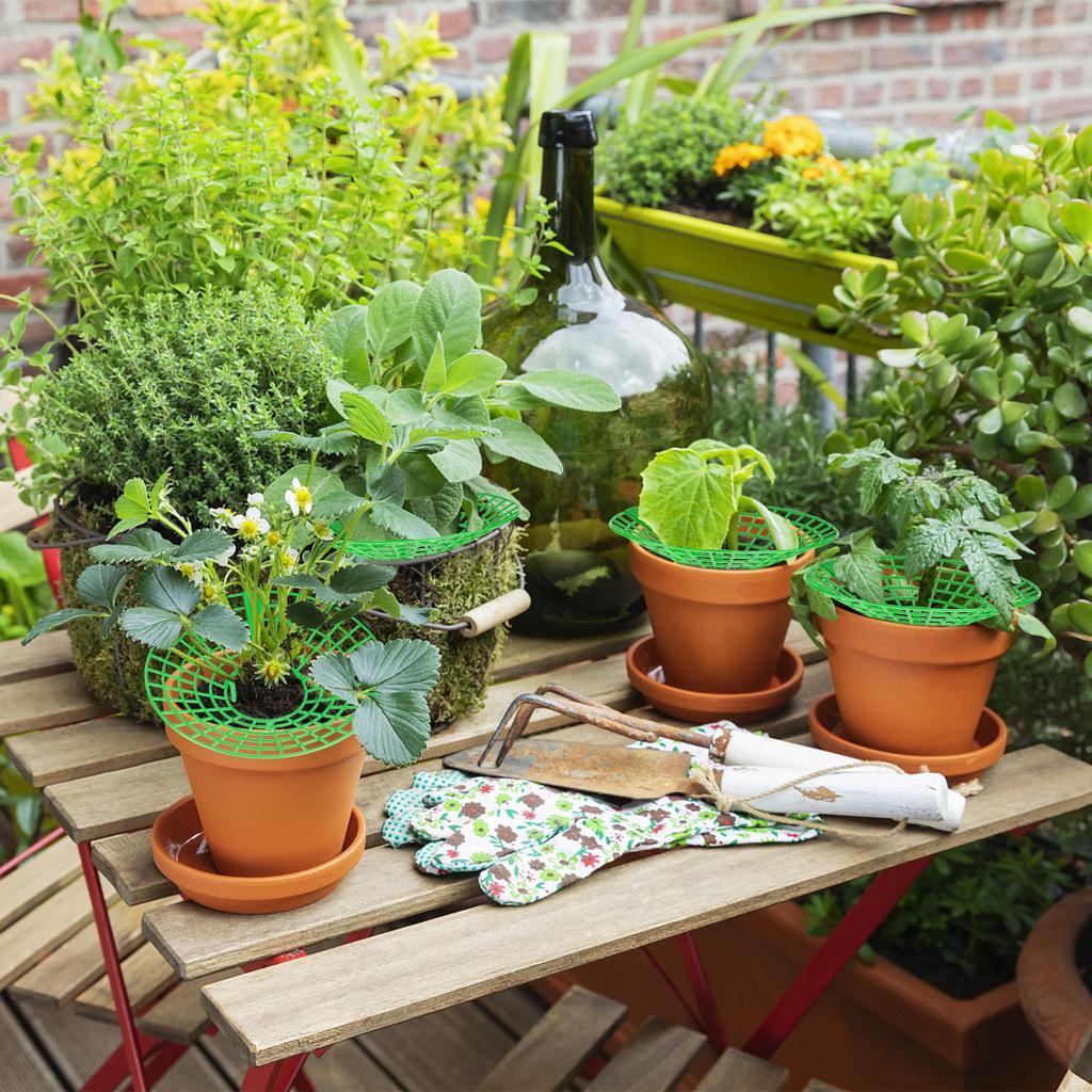 12 упаковок опор для растений клубники, подставка для растений клубники с 3 прочными ножками